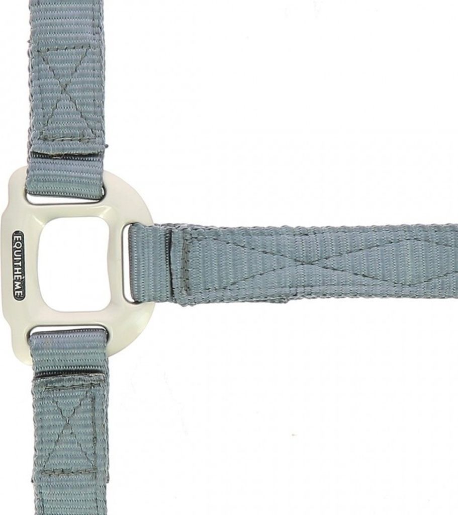 EQUITHÈME Nylonhalfter Warmblut in vielen Farben, Farbe:Bordeaux, Größe:Warmblutgröße goldfarben satinierte Beschläge