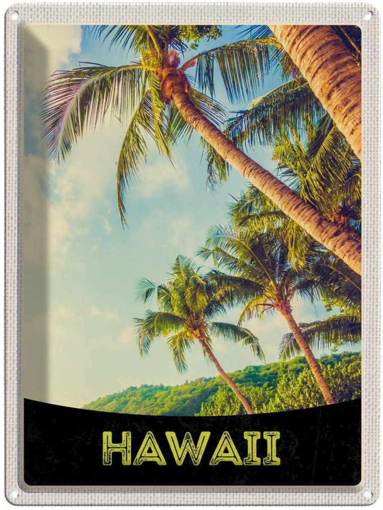 vianmo Blechschild 40x30 cm Hawai Insel USA Urlaub Strand Palmen Meer Bildmotiv Reisemotiv Abenteuer Reisen Amerika
