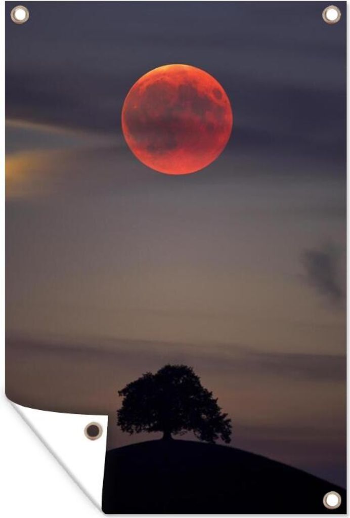 MuchoWow 60x90 cm Outdoor-Poster Gartendeko Sichtschutz Garten Poster für den Garten Mond - Baum - Rosa