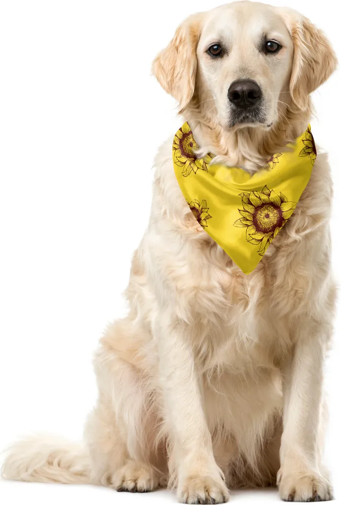 Accessorio Animali ABAKUHAUS Bandana Fiori Girasole 40x40cm