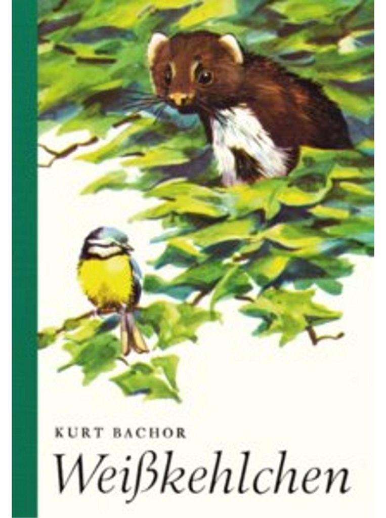 Weißkehlchen