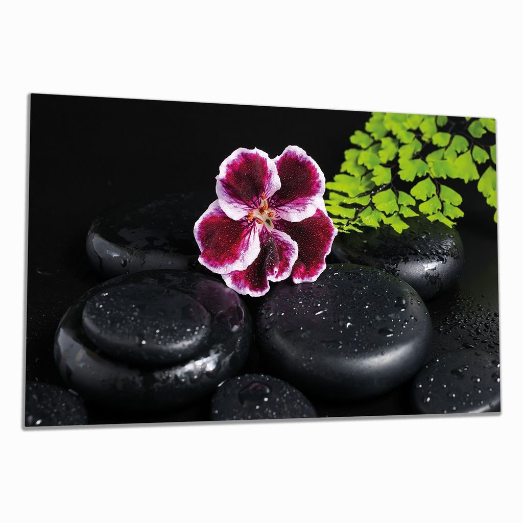 Wallario Herdabdeckplatte aus Glas, Größe 90 x 52 cm 1-teilig, Motiv Geranienblüte auf schwarzen Steinen, benetzt mit Wassertropfen