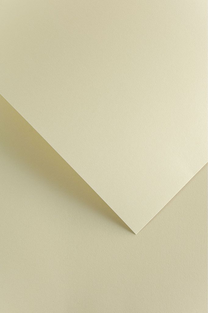 Dekorationspapier Florida Creme /20Stk/ 220g