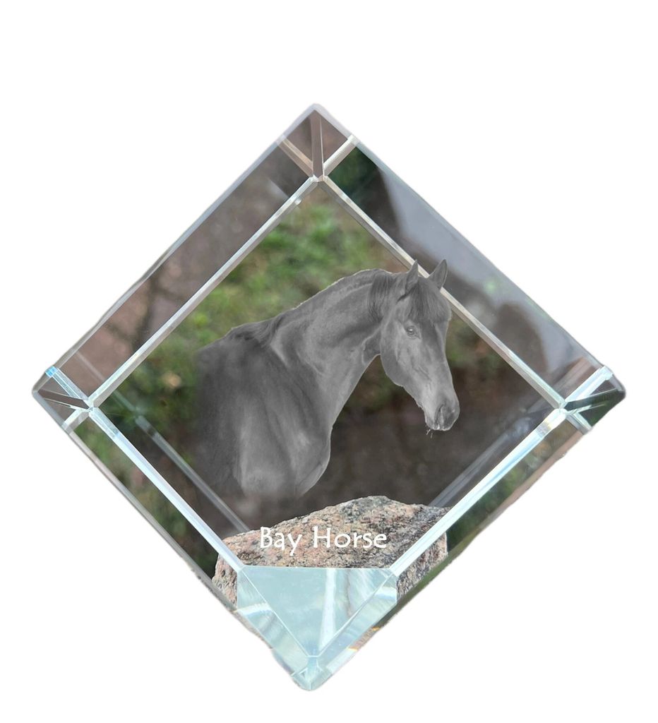 Braunes Pferd - Kristallwürfel mit Pferdebild, Pferdebild im Kristall, sechseckiger Papierclip der Marke Art-Dog