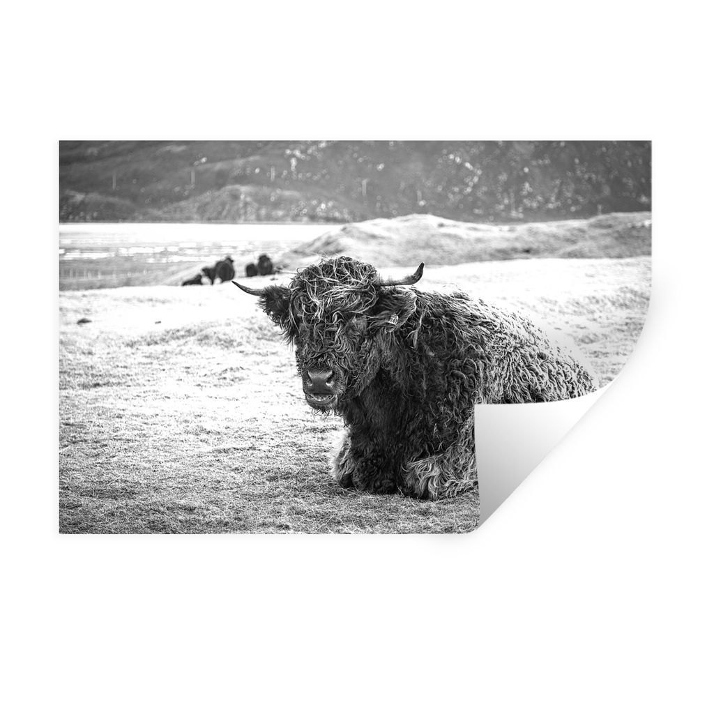 MuchoWow Wandtattoo Wandsticker Wandaufkleber Schottischer Highlander - Berg - Tiere 30x20 cm Selbstklebend und Repositionierbar - Wierderverwend...