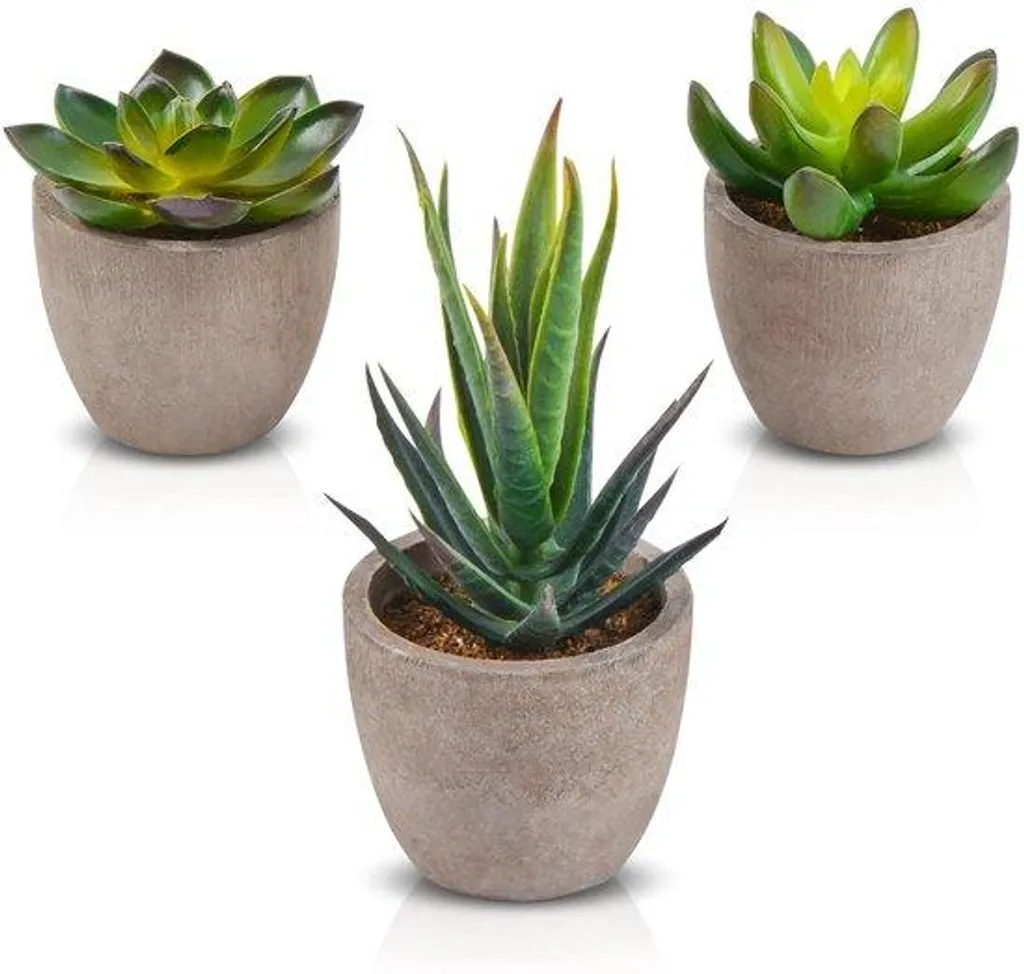 Plantes artificielles durables : finissez-en avec les feuilles mortes