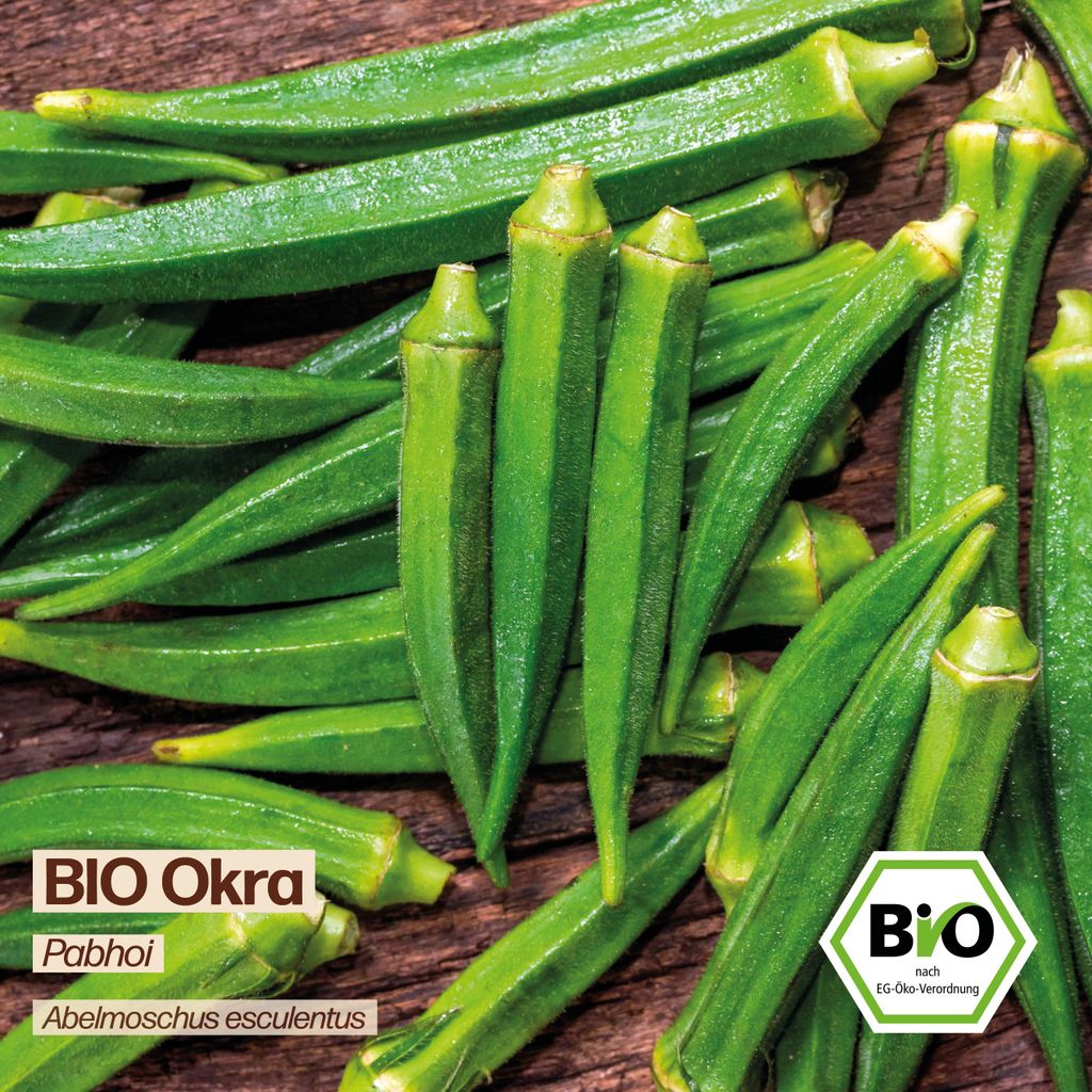 Samenliebe Okra Samen | Pabhoi - lange - samenfestes