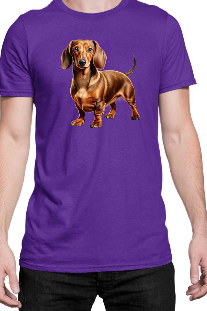 Herren T-Shirt Dogs Breeds Dachshund Dog Breed 008, Man M / Lila