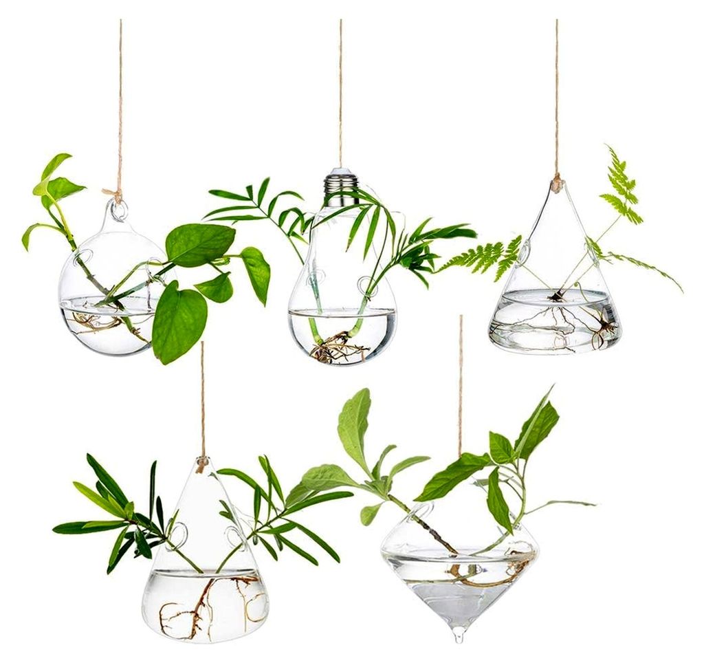 Glas Pflanzgefäße zum Hängen für Wasserpflanzen, Terrarium und Kerzenhalter, Indoor und Outdoor, 2 Löcher, 5 Teile/Satz mit Seil für Garten u...