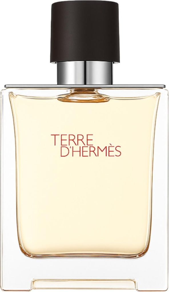 Hermès Terre d’Hermès Eau de Toilette 100ml : 100ml Größe: Produktbild 