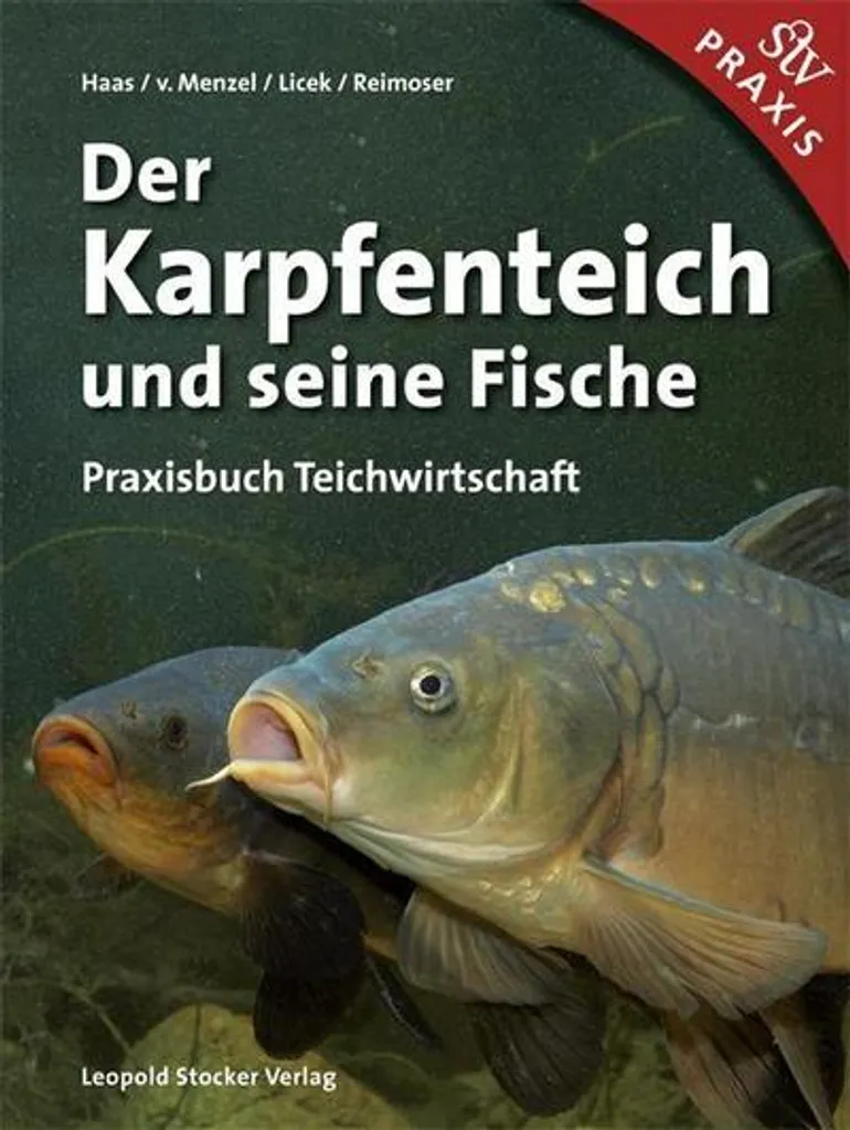 Réussir son Étang à Carpes : Conseils pour un Bassin Sain et Vivant