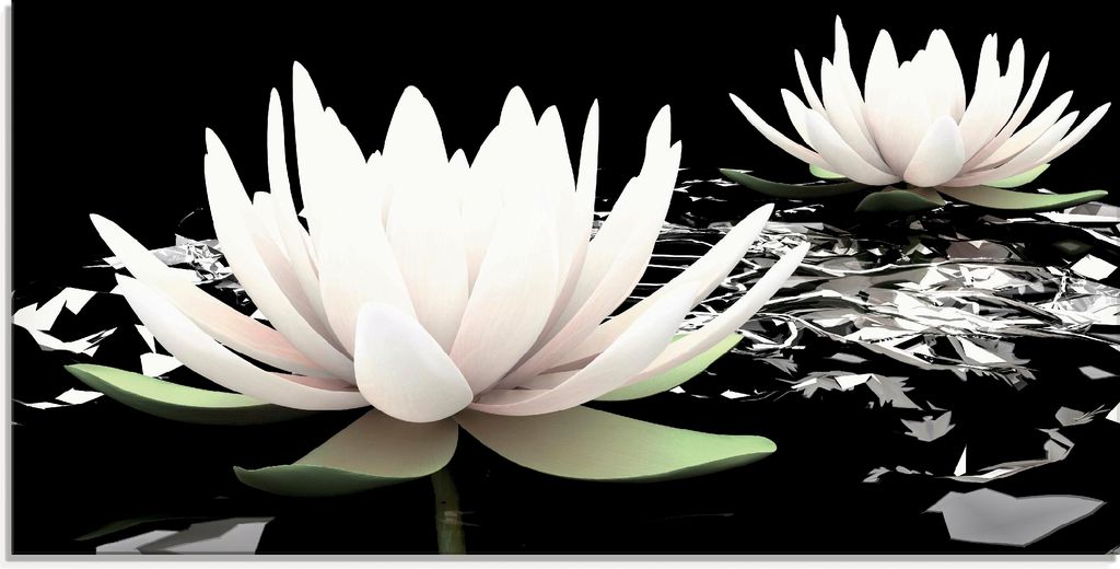 ARTland Glasbild Zwei Lotusblumen auf dem Wasser Größe: 100x50 cm