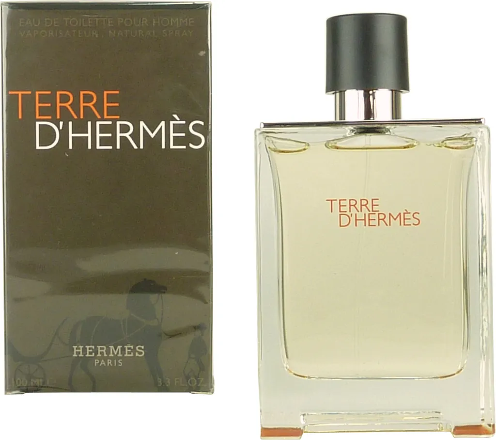 Terre d'Hermès Eau de Toilette pour Homme 100 ml - Parfum Signature