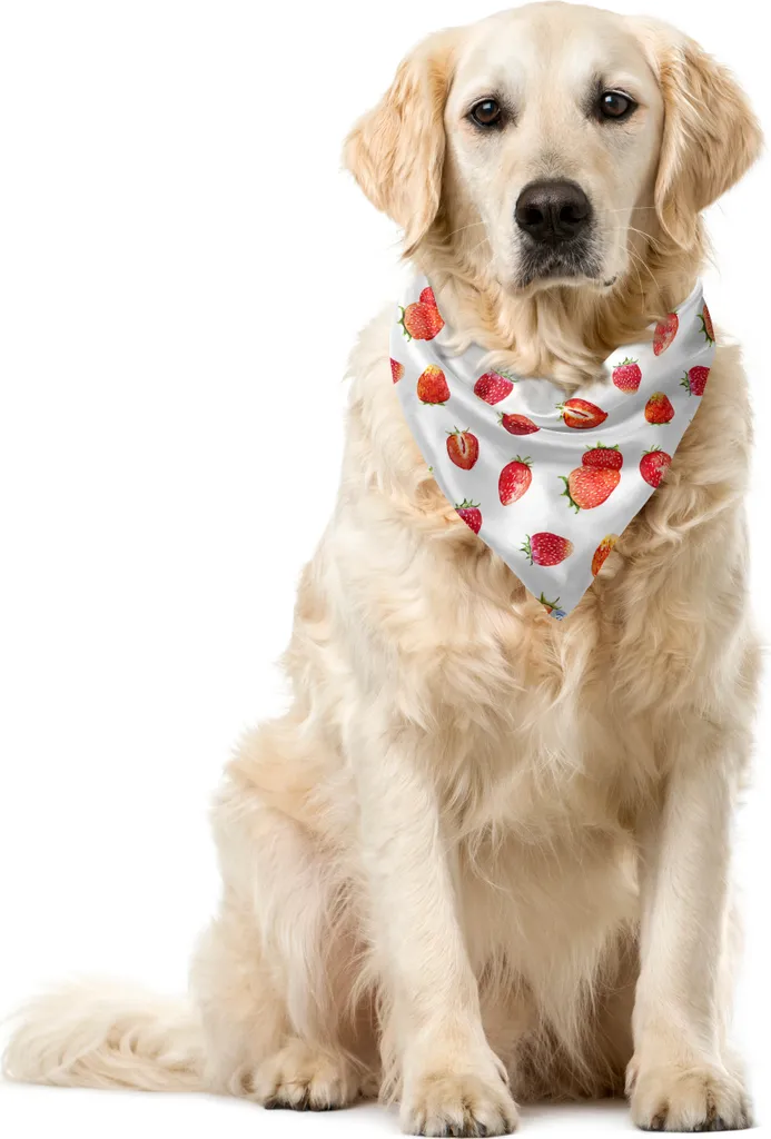 Bandana Cane ABAKUHAUS Fragole Mirtilli 40x40 - Accessorio Pet Premium