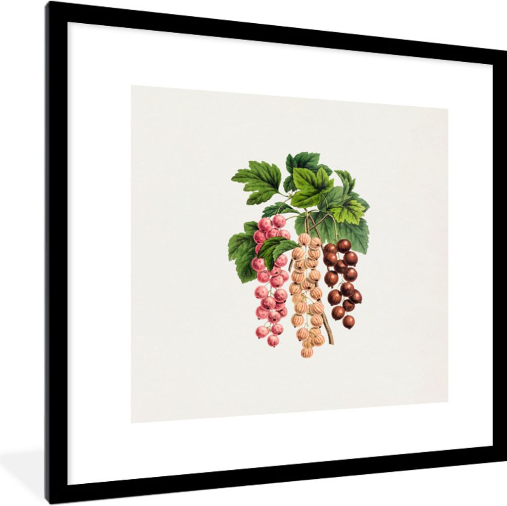 MuchoWow Gerahmtes Poster Obst - Weinlese - Beeren 40x40 cm - Poster mit Schwarzem Bilderrahmen Wandposter Rahmen Foto Bilder - Poster - Plakat i...
