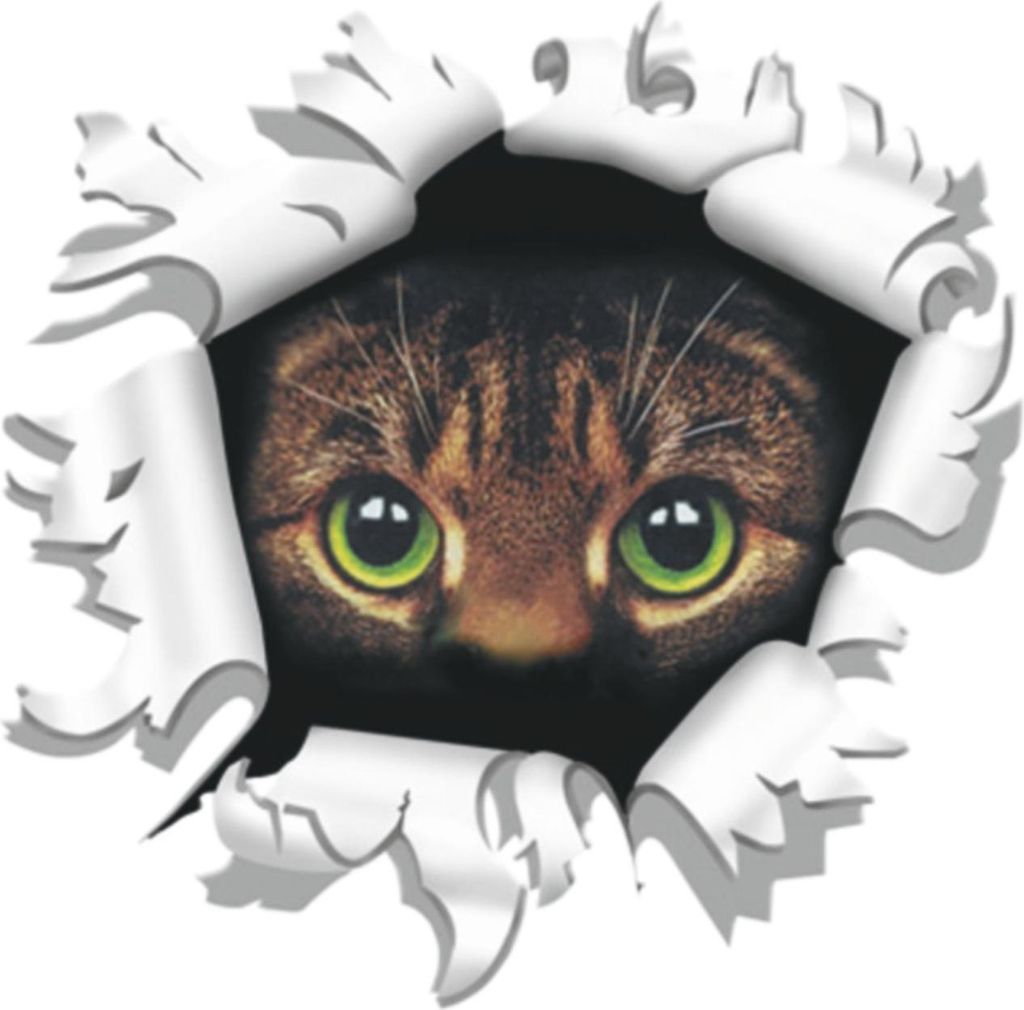 Hermann Schütz Autoaufkleber Einschussloch Katze Ø 8 cm Produktbild 
