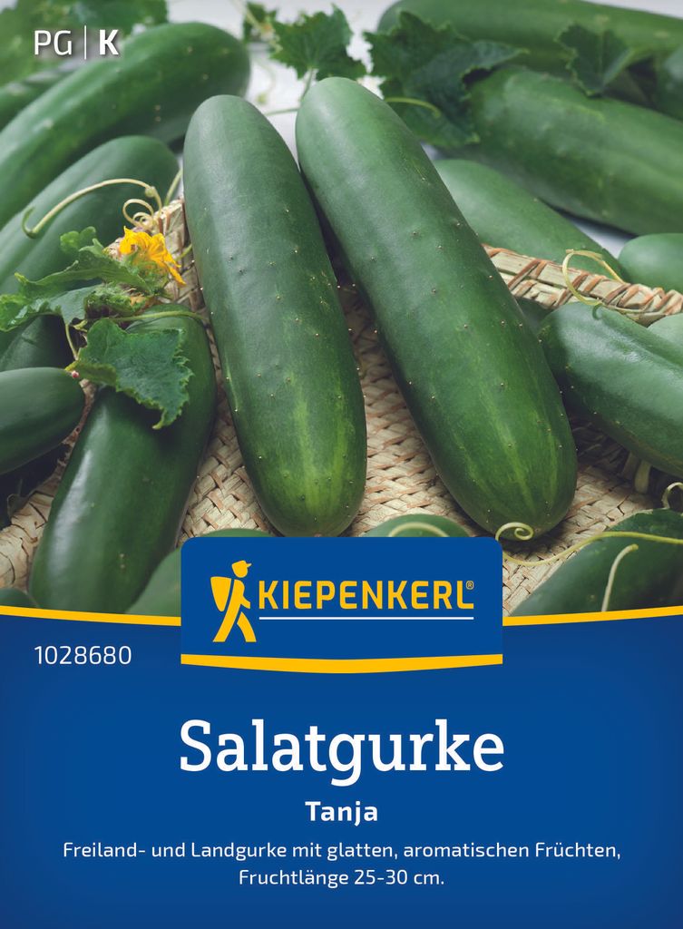 Kiepenkerl Salatgurkensamen Tanja Cucumis sativus 30 Pflanzen