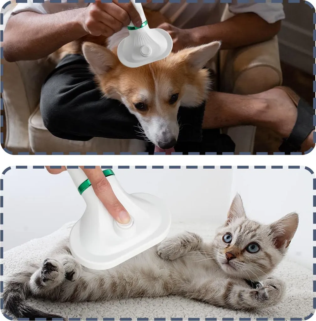 Souffleur d'eau pour chiens puissant avec variateur de température Noir