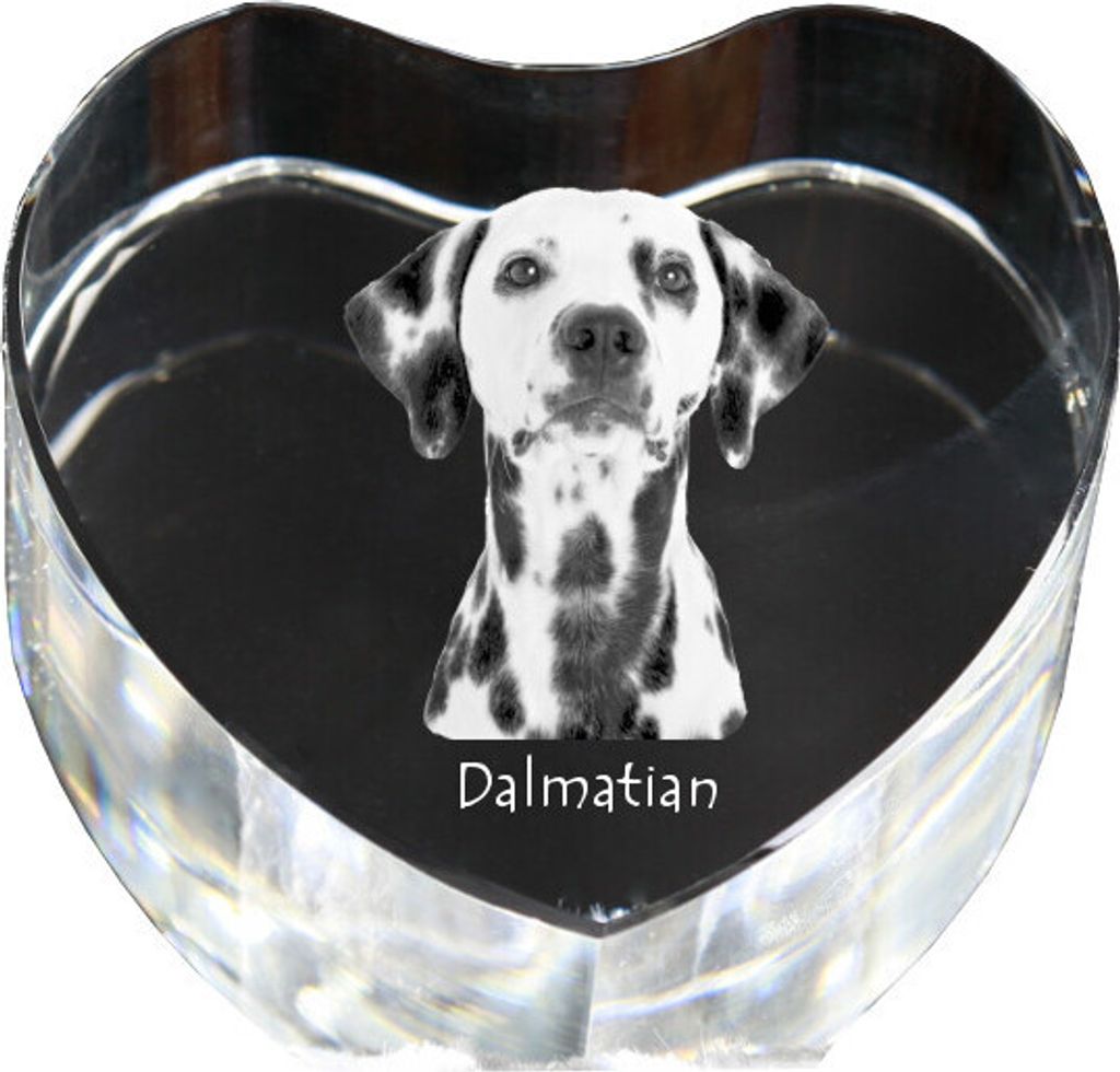 Dalmatiner, Dalmatinac - Hundebild im Kristall, Kristallherz, einzigartiger Bilderrahmen der Marke Art-Dog