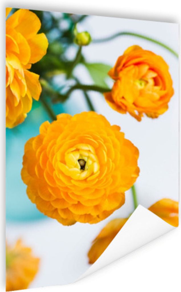 MuchoWow Poster Blumen - Draußen - Orange 80x120 cm - Papierdruck