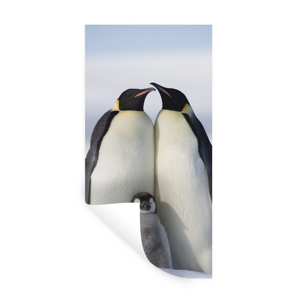 MuchoWow Wandtattoo Wandsticker Wandaufkleber Pinguin - Familie - Schnee 60x120 cm Selbstklebend und Repositionierbar - Selbstklebend - Fototapeten