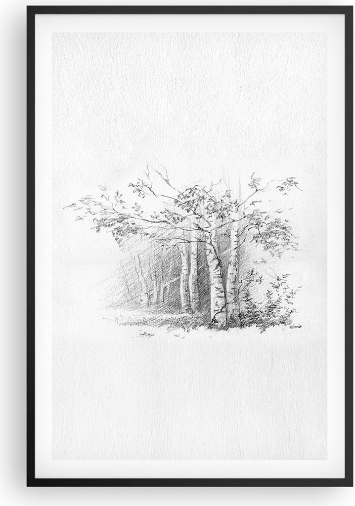 Gerahmtes Poster - Schwarzer Rahmen - Skizze Wald Birke - 61x91,5 cm - Wand Bild - Wanddeko - Wandbilder - Kunstposter - Wandposter - Bilderrahmen ...