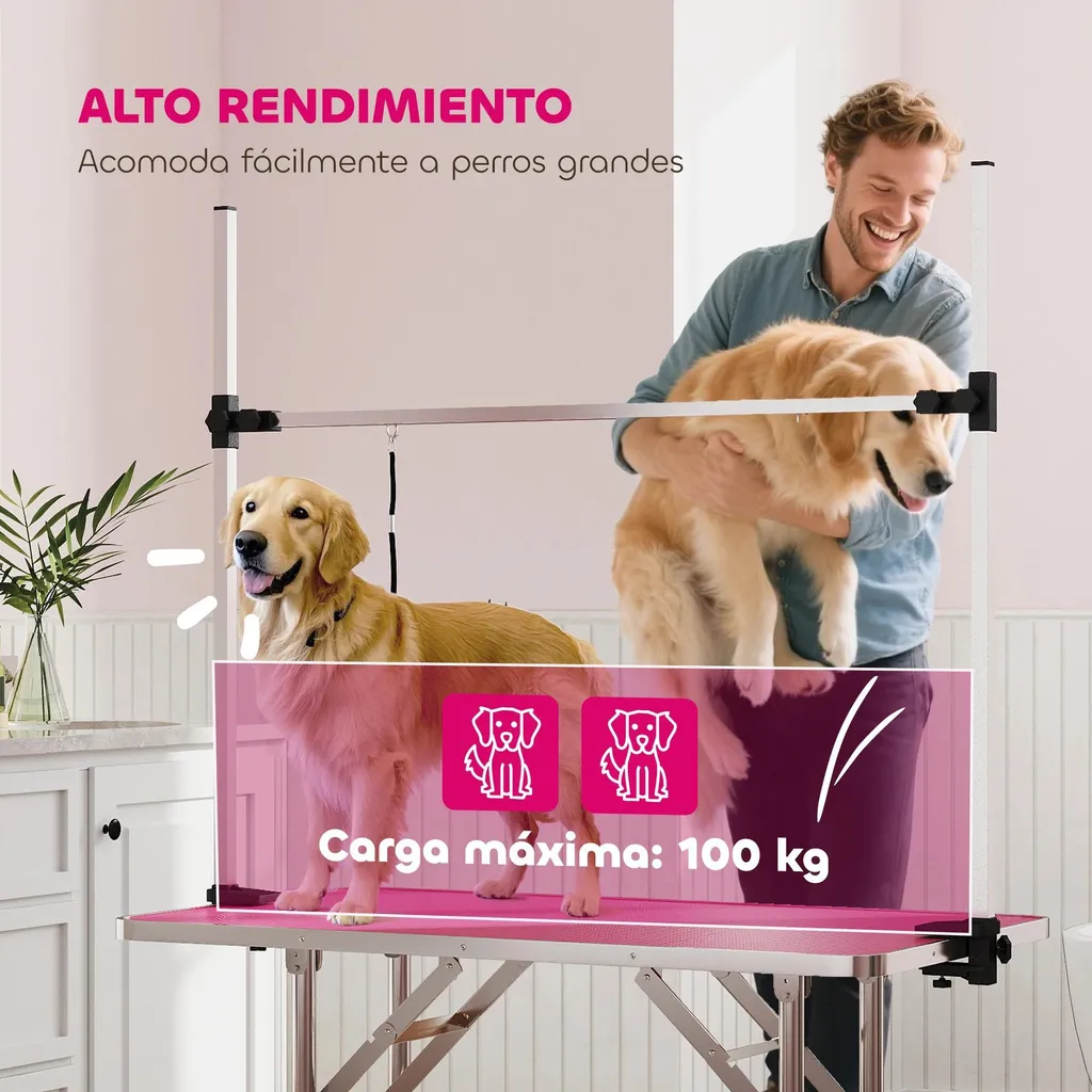 Table de toilettage stable et pliable : fini les glissades de votre chien