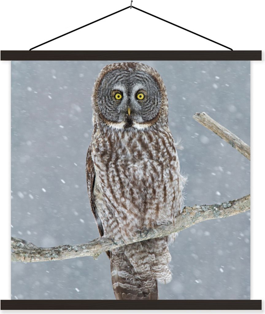 MuchoWow Textilposter Eule im Schnee 60x60 cm mit schwarzem Rahmen - Posteraufhänger