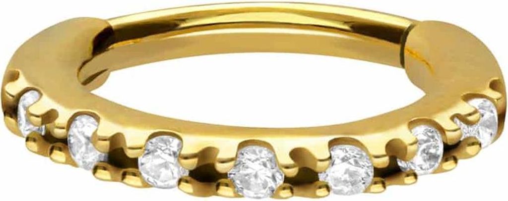 Ohrpiercing, Nasenpiercing, Septum Piercing Chirurgenstahl Segmentring Clicker OVAL + EINGEFASSTE KRISTALLE