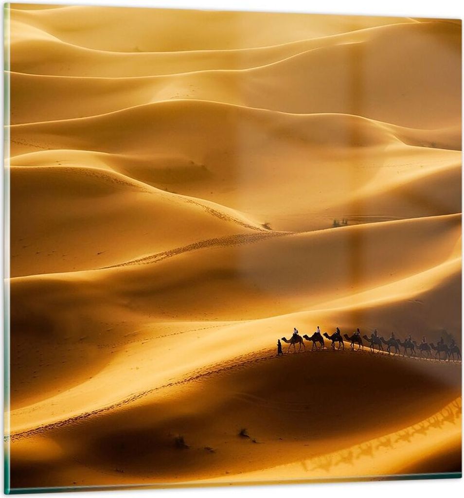 Bilder auf glas - Afrika Sahara Kamel Landschaft - 50x50cm - Glasbilder - Wandbilder - Kunstdruck - zum Aufhängen bereit - Wanddekoration aus Glas...