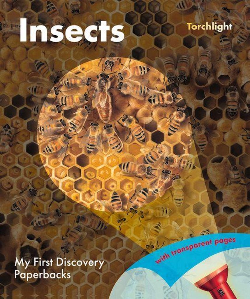Insects – Lingua: Inglese