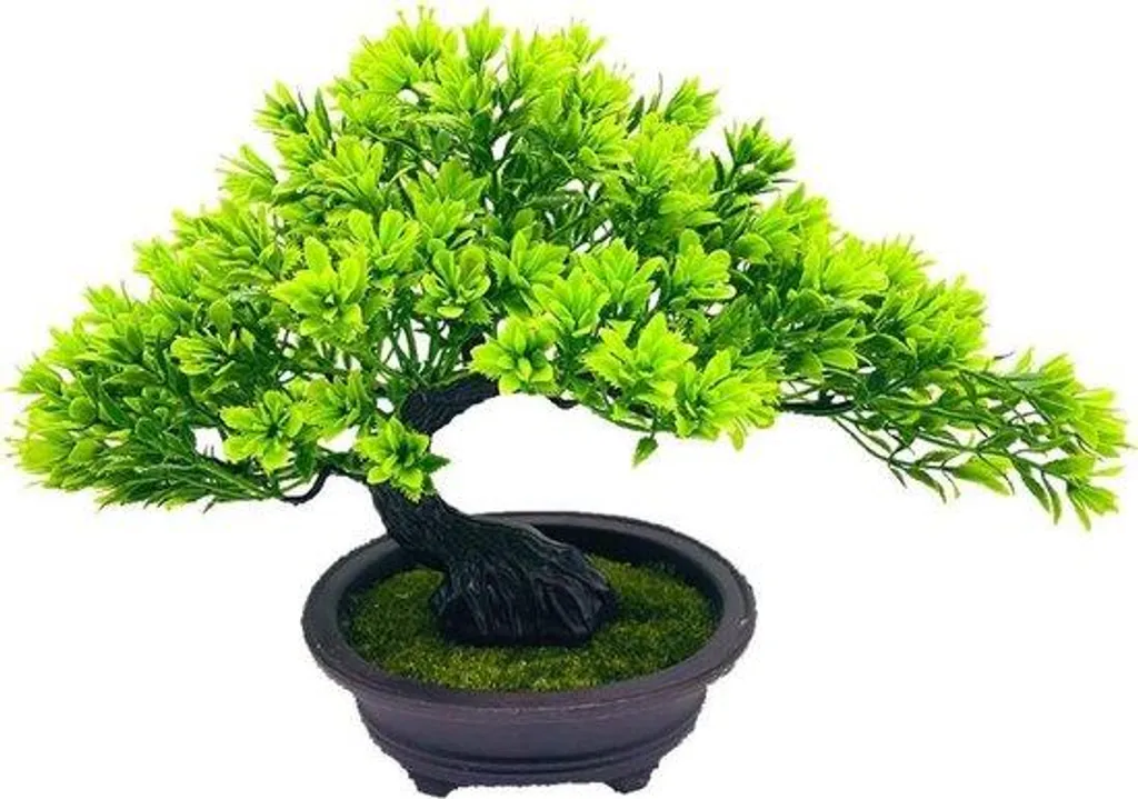 Petite plante artificielle en pot type genévrier décoratif de bureau