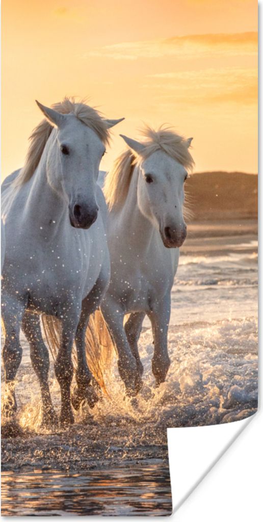 MuchoWow Poster Pferde - Wasser - Strand - Tiere 80x160 cm - Kinderzimmer