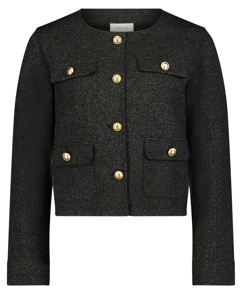 Blazer-Jacke