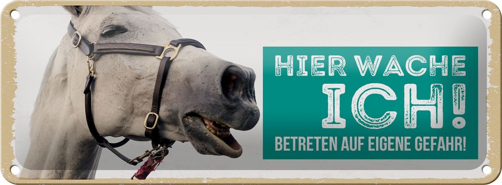 Blechschild Hinweis Pferd Schimmel hier wache ich eigene Gefahr, 27 x 10 cm, Blechschilder Tiere Achtung