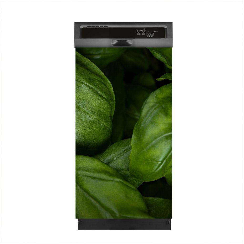 Aufkleber sticker 45x80 cm Dekorative folie Spülmaschine - frisches grünes Basilikum