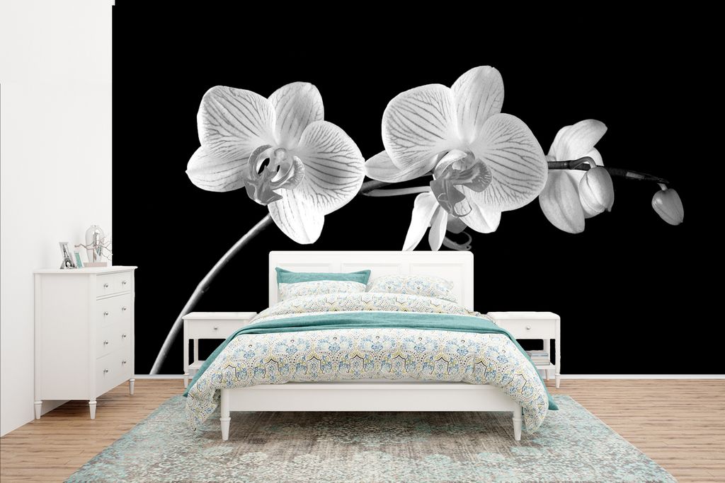 MuchoWow Fototapete für Wohnzimmer oder Schlafzimmer Wandtapete Vinyl Motivtapete Orchidee - Blumen - Schwarz - Rosa - Knöpfe - 400x240 cm - Ge...