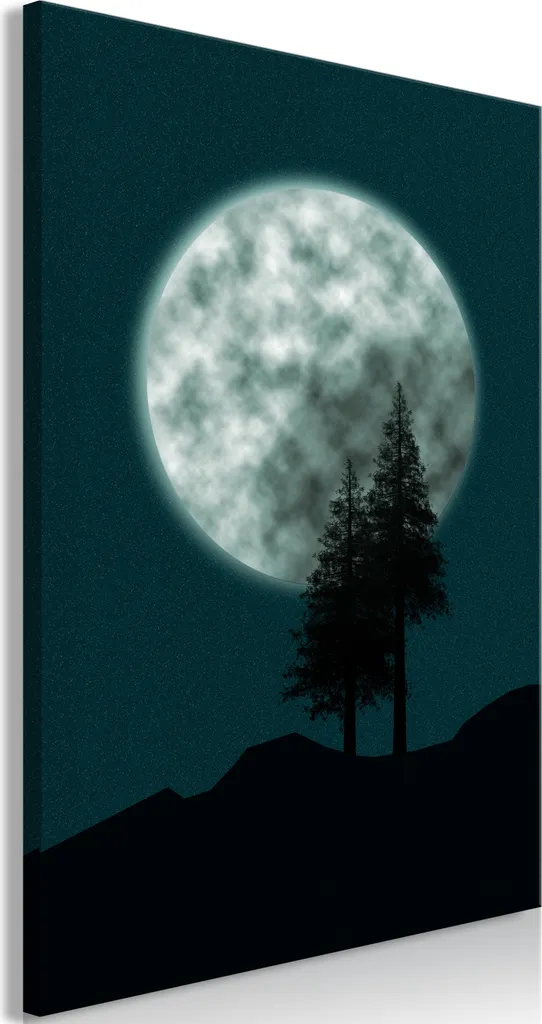 Stampa Canvas Luna Piena 60x90 cm - Decorazione Parete Moderna Verticale