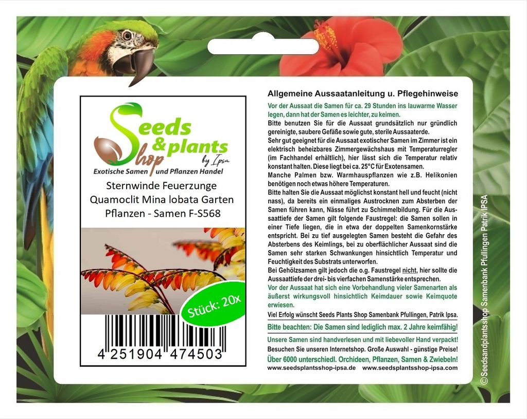 20x Sternwinde Feuerzunge Quamoclit Mina lobata Garten Produktbild 