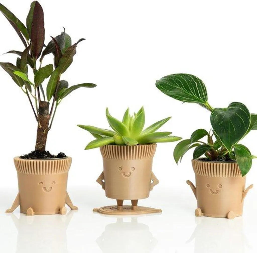 Lot de 3 pots en plastique biodégradable et fibres de bois pour cactus