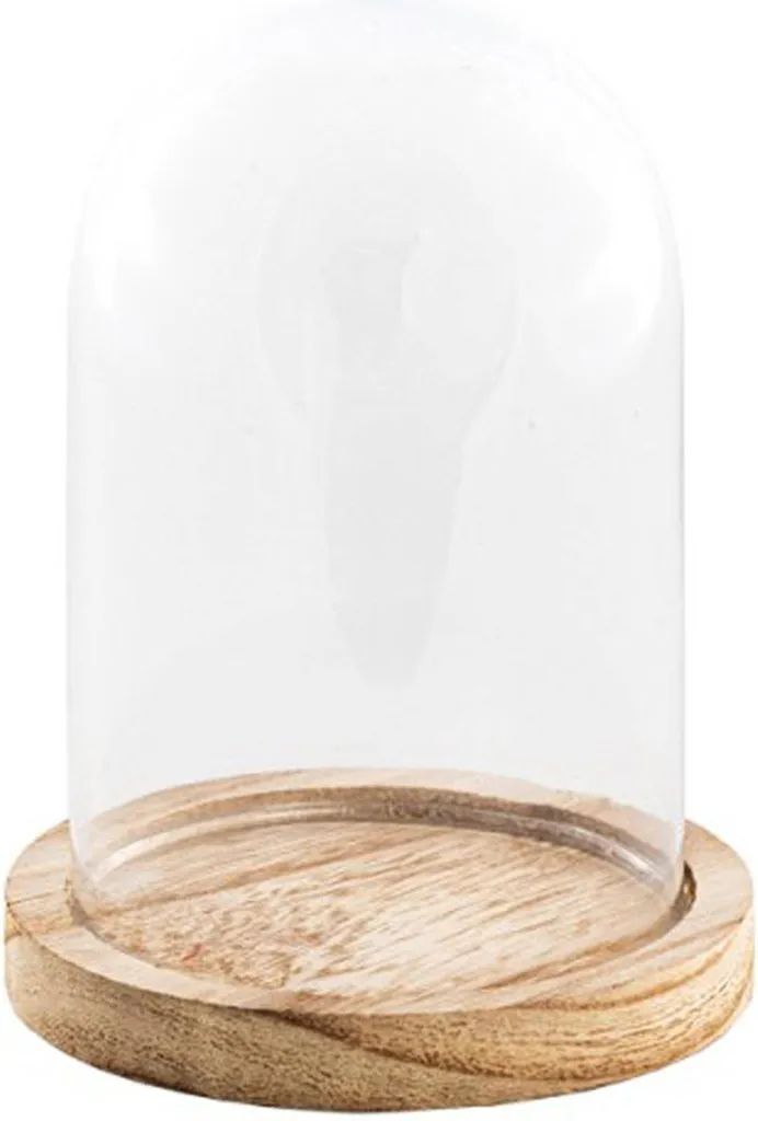 Dôme d'exposition en verre et support bois naturel de 13,7 cm chic