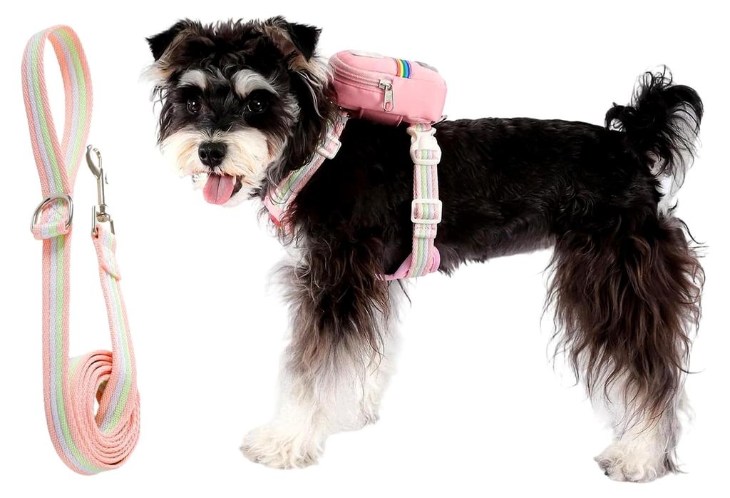 Hundegeschirr mit Anti-Zug-Griff - Geschirr Weste mit Trainingsleine Set für Hunde - Für Welpen Aktivitäten, Einkaufen, Outdoor, Spazierengehen
