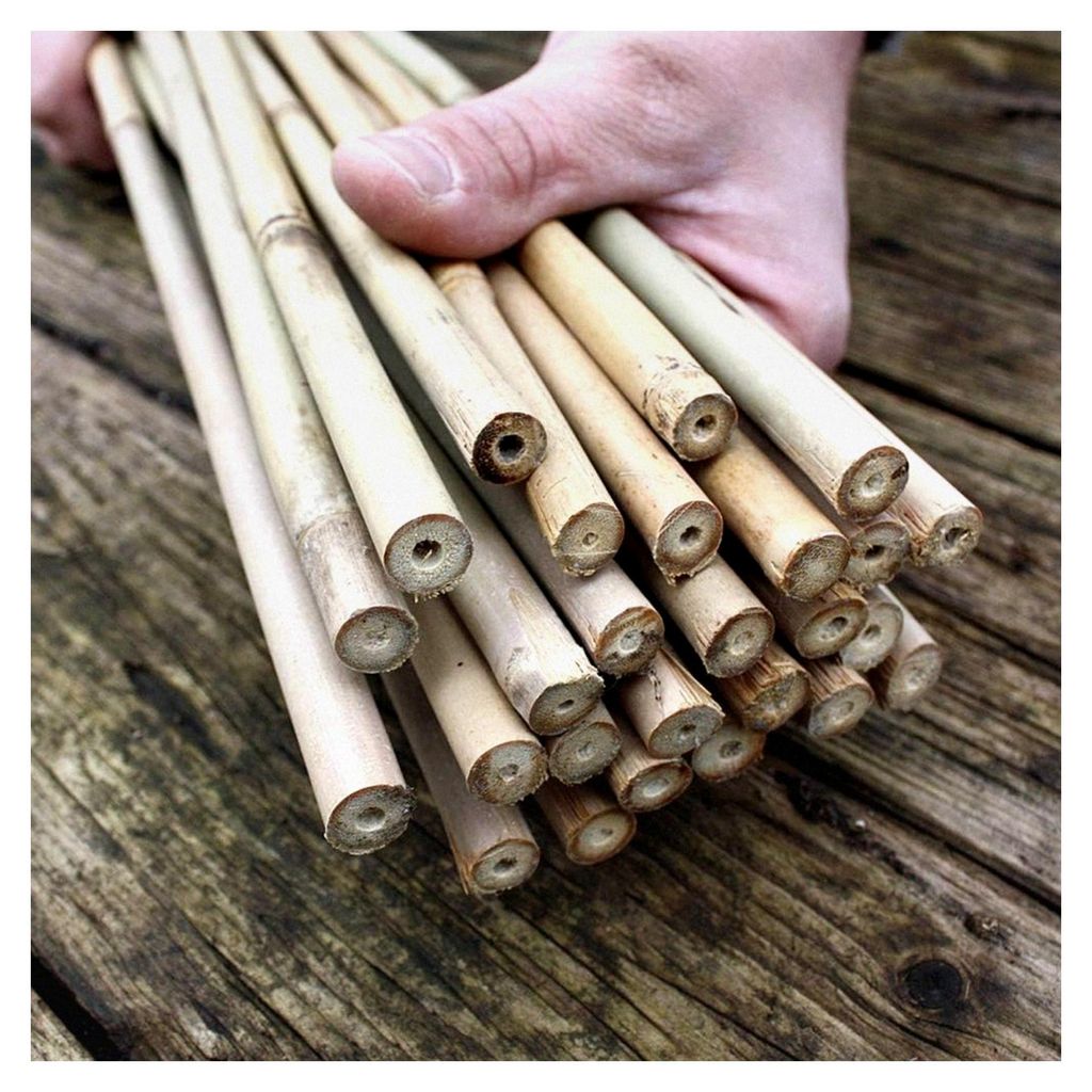 25 Bambusstäbe - 152 cm lang, Durchmesser 10-12 mm
