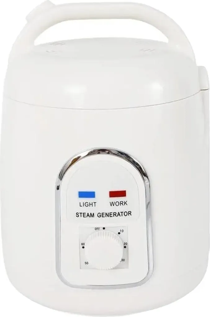Générateur vapeur compact blanc avec minuteur intégré 60 min - Haute Qualité