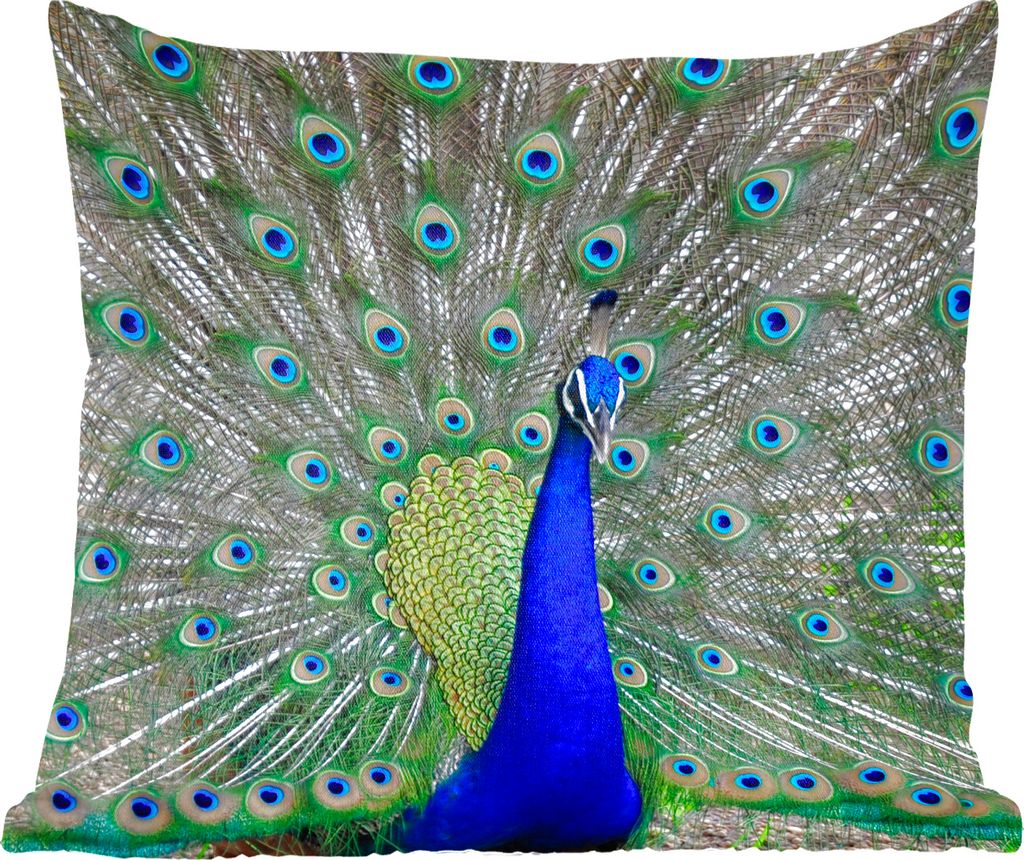 MuchoWow Zierkissen Sofakissen Wohnzimmer Dekokissen 40x40 cm Pfau - Schnabel - Grün - Sofakissenbezüge - ohne füllung