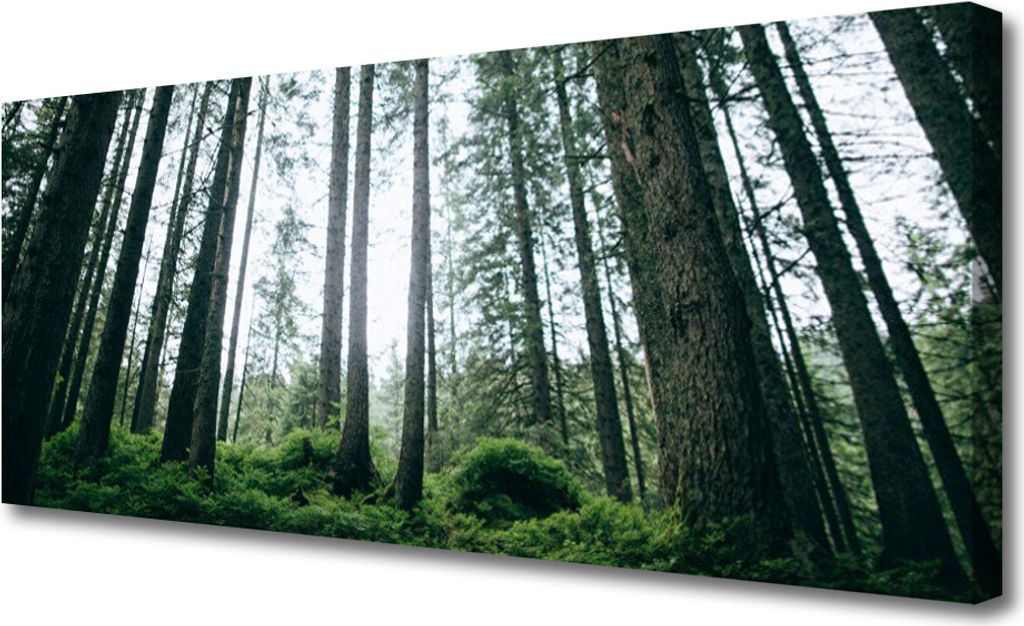 Tulup Leinwand-Bilder 125x50 Wandbild Canvas Kunstdruck Wald Natur