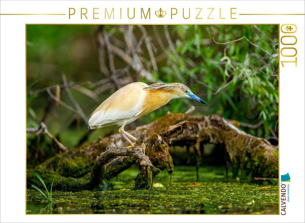 CALVENDO Puzzle Ein Motiv aus dem Kalender Naturparadies Donau Delta | 1000 Teile Lege-Größe 64x48cm Foto-Puzzle für glückliche Stunden