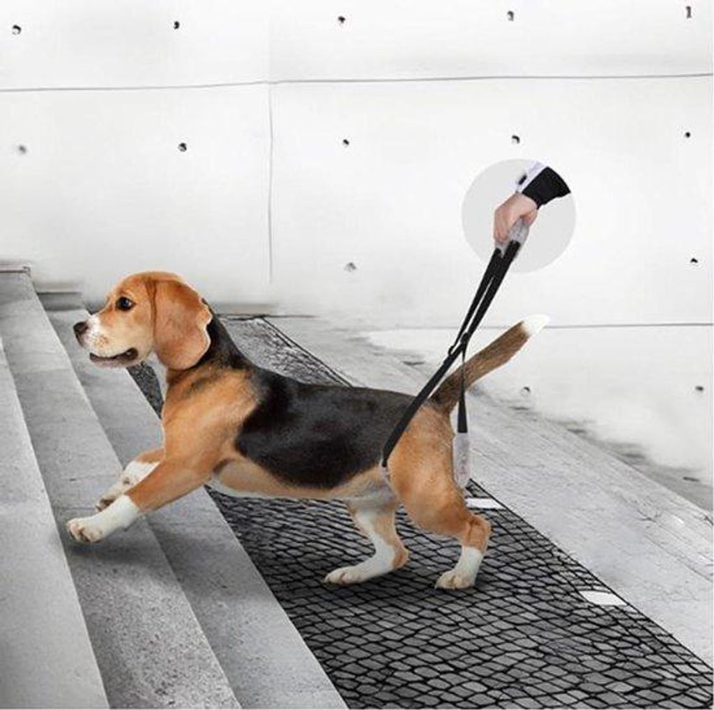 Aide aux chiens souffrant de problèmes aux pattes arrière - Image du produit 