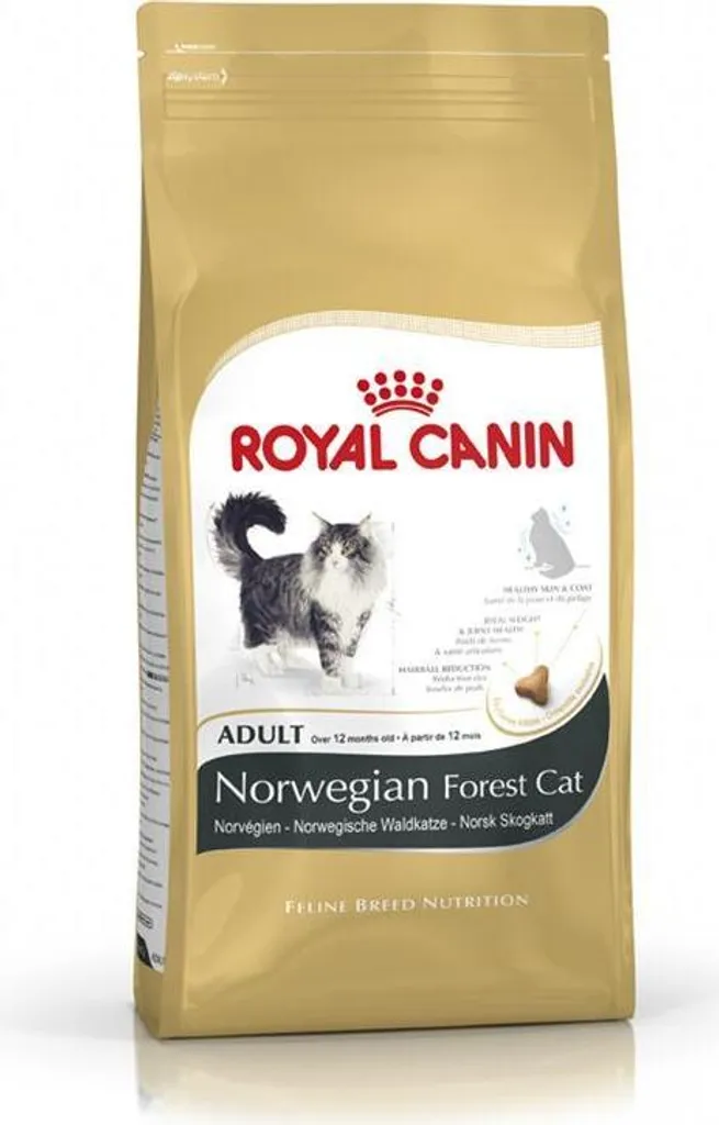 Royal Canin Norwegian Forest Cat 2kg | Crocchette Gatto delle Foreste Norvegesi