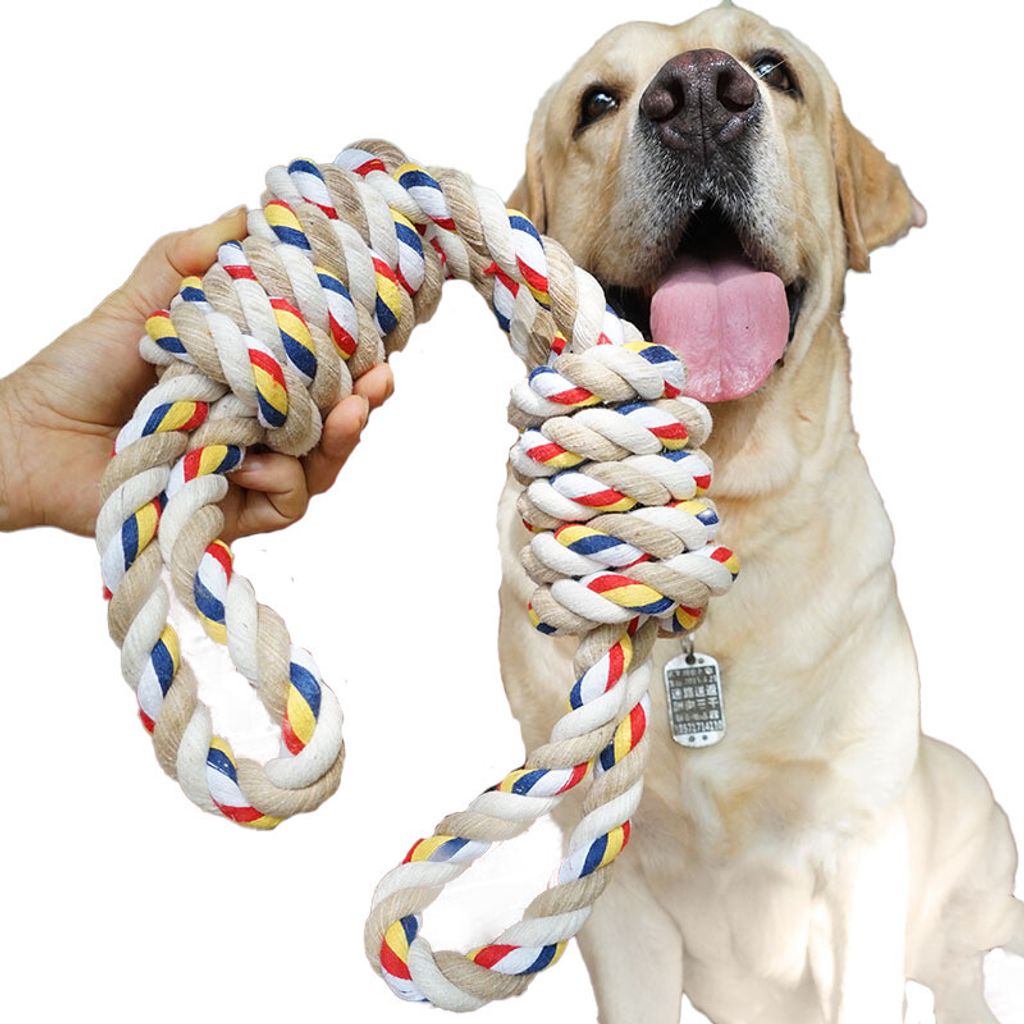 A person is holding a dog toy in front of a dog.